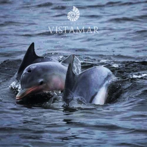Villagio Vistamar Ilha Comprida Luaran gambar